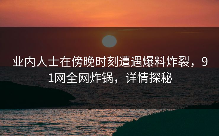 业内人士在傍晚时刻遭遇爆料炸裂，91网全网炸锅，详情探秘