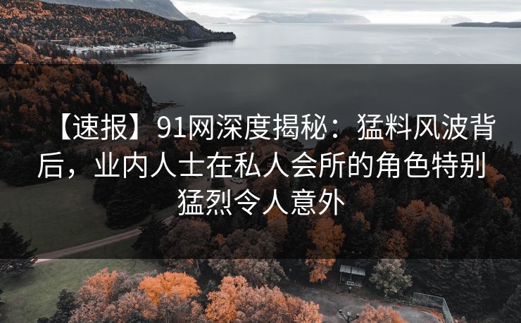 【速报】91网深度揭秘：猛料风波背后，业内人士在私人会所的角色特别猛烈令人意外