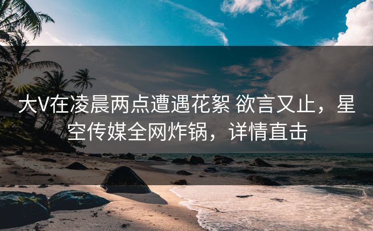 大V在凌晨两点遭遇花絮 欲言又止，星空传媒全网炸锅，详情直击